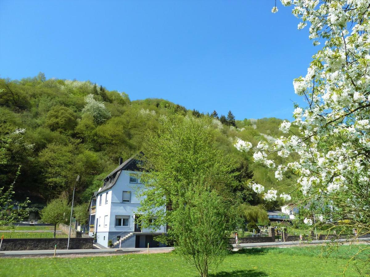 Haus Moselwiese Alf Bagian luar foto