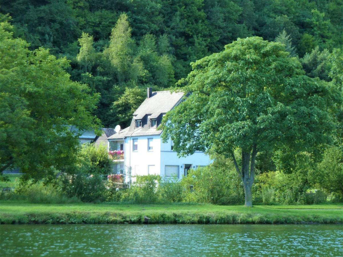 Haus Moselwiese Alf Bagian luar foto