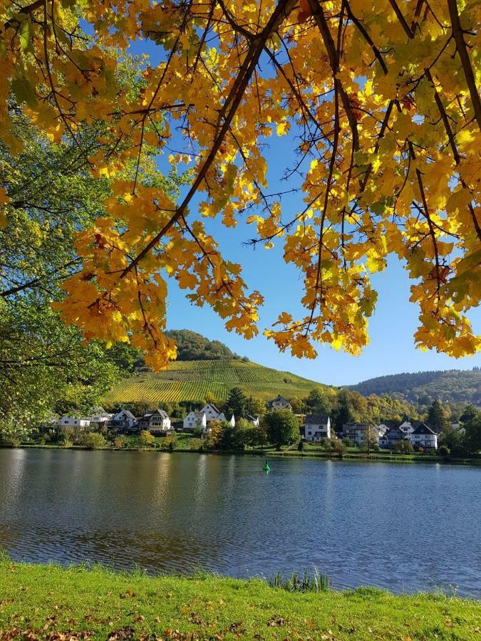 Haus Moselwiese Alf Bagian luar foto